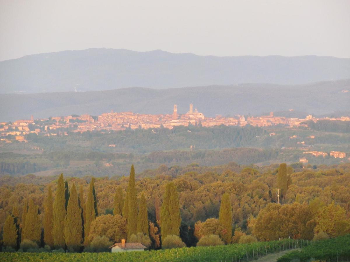 Podere La Casa Villa d'Arceno Exteriör bild