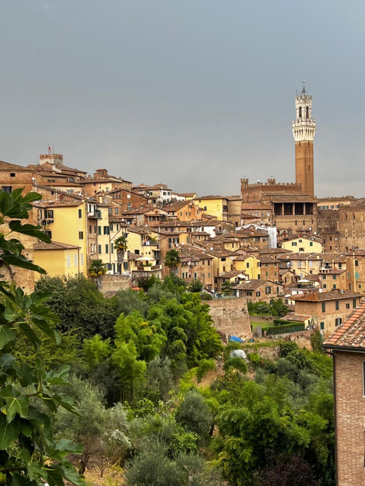 Podere La Casa Villa d'Arceno Exteriör bild